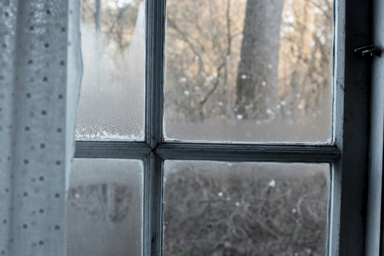 close-up of condensation forming on an old window